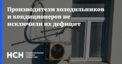 Максим Решетников - Производители холодильников и кондиционеров не исключили их дефицит - nsn.fm - Россия - Экология