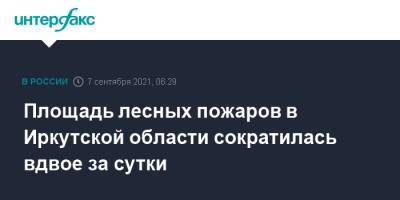 Площадь лесных пожаров в Иркутской области сократилась вдвое за сутки - interfax.ru - Москва - Иркутская обл.