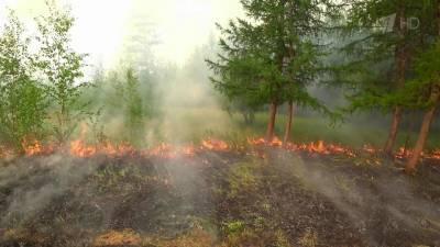 Аномально теплая погода не дает полностью справиться с лесными пожарами в Якутии - 1tv.ru - респ. Саха