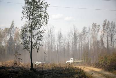 Смог в Шадринск пришел из Далматовского района, где действует пять природных пожаров - znak.com - район Шадринский - Шадринск - населенный пункт Угрозы