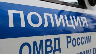 Две школьницы пропали по дороге из школы в Кузбассе - iz.ru - Израиль - Киселевск - Кемеровская обл.