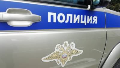 Полиция ищет пропавших под Кемерово десятилетних девочек - inforeactor.ru - Москва - Кемерово