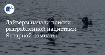 Дайверы начали поиски разграбленной нацистами Янтарной комнаты - ura.news - Германия