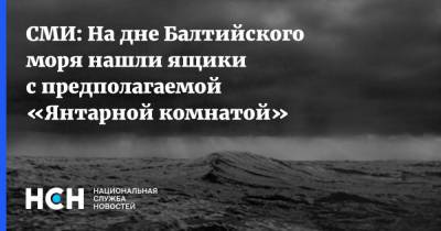 СМИ: На дне Балтийского моря нашли ящики с предполагаемой «Янтарной комнатой» - nsn.fm - Германия - Польша - Калининград - Балтийское Море