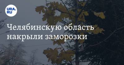 Челябинскую область накрыли заморозки - ura.news - Челябинская обл.