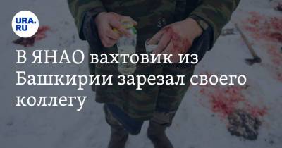В ЯНАО вахтовик из Башкирии зарезал своего коллегу - ura.news - Башкирия - окр. Янао - район Пуровский