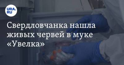 Свердловчанка нашла живых червей в муке «Увелка». Фото - ura.news - Екатеринбург - Свердловская обл.