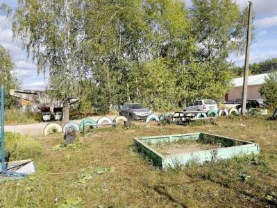 Лисья напасть. В Кунгуре лисы прогуливаются по детской площадке - iskra-kungur.ru - Пермь