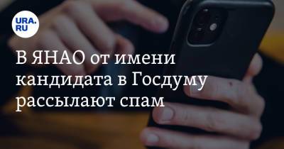 В ЯНАО от имени кандидата в Госдуму рассылают спам. Главный юрист ЯНАО сделал заявление - ura.news - Россия - окр. Янао