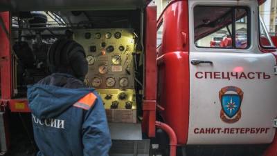 При пожаре на проспекте Славы скончался мужчина - dp.ru - Санкт-Петербург - р-н. Московский