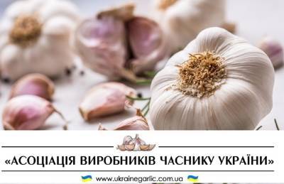 Ассоциация производителей чеснока предлагает фермерам качественный посадочный материал - agroportal.ua - Украина
