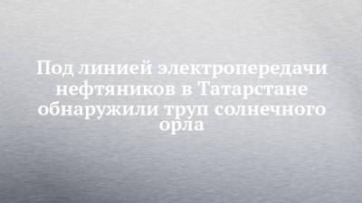 Под линией электропередачи нефтяников в Татарстане обнаружили труп солнечного орла - chelny-izvest.ru - респ. Татарстан