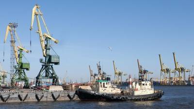 Большому порту Петербурга разрешили принимать санкционные товары - dp.ru - Россия - Восточный - Петербург