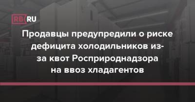 Продавцы предупредили о риске дефицита холодильников из-за квот Росприроднадзора на ввоз хладагентов - rb.ru - Россия
