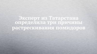 Эксперт из Татарстана определила три причины растрескивания помидоров - chelny-izvest.ru - респ. Татарстан