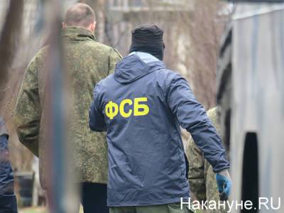 ФСБ: Взрыв газопровода в Крыму был организован украинской разведкой - nakanune.ru - США - Украина - Крым - Симферополь - Херсон