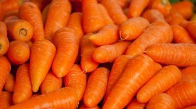 ФАС хочет наказать крупные продуктовые сети за морковь - penzainform.ru - Рязань