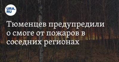 Тюменцев предупредили о смоге от пожаров в соседних регионах - ura.news - Челябинская обл. - Тюмень - Свердловская обл. - Курганская обл.