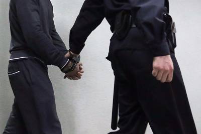 Изнасиловал и избил. Задержан подозреваемый в убийстве за замечание не справлять нужду - znak.com - Россия - Ленинградская обл. - Санкт-Петербург
