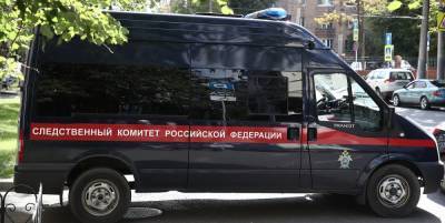 Что известно об убийстве двух школьниц в Кузбассе - tass.ru - Киселевск - Кемеровская обл.