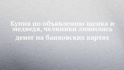 Купив по объявлению щенка и медведя, челнинки лишились денег на банковских картах - chelny-izvest.ru - Россия - Ленинградская обл. - Гэс