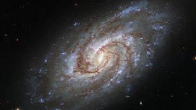 Hubble показал шарообразное звездное скопление - hubs.ua - Украина - Англия