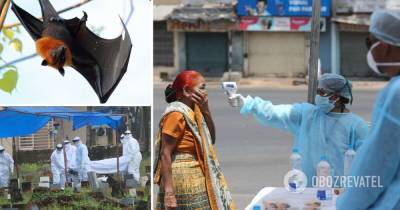 Вирус Нипах: симптомы, чем опасен, как передается – сколько человек заболели в Индии - obozrevatel.com - India - штат Керала - Кожикод
