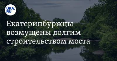 Алексей Орлов - Екатеринбуржцы возмущены долгим строительством моста. На реконструкцию потребуется 22 месяца - ura.news - Екатеринбург - Свердловская обл.