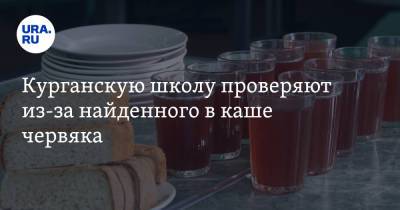 Курганскую школу проверяют из-за найденного в каше червяка. Фото - ura.news - Курган
