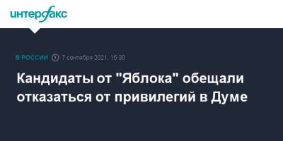 Николай Рыбаков - Кандидаты от "Яблока" обещали отказаться от привилегий в Думе - interfax.ru - Москва