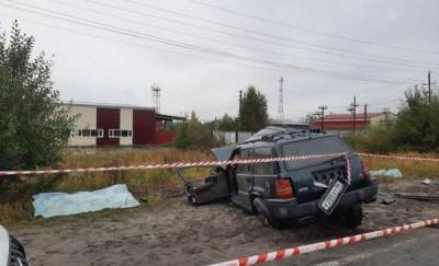 В Югре в лобовом столкновении с большегрузом погибли водитель и пассажир внедорожника - news.megatyumen.ru - Югра