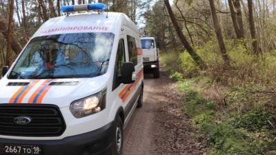 В Калининградской области петербургские сапёры обезвредили 24 боеприпаса времён войны - russian.rt.com - Санкт-Петербург - Симферополь - Севастополь - Калининградская обл.