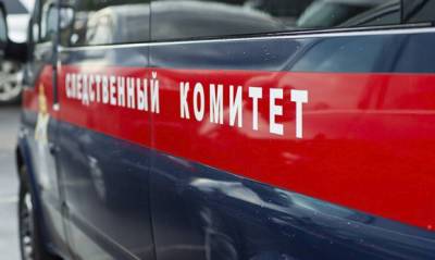 После убийства двух девочек в Киселевске СКР возбудил дело о халатности в отношении должностных лиц - og.ru - Россия - Киселевск - Кемеровская обл.
