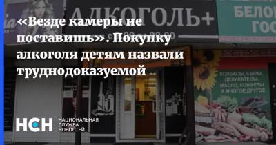 Вадим Дробиз - «Везде камеры не поставишь». Покупку алкоголя детям назвали труднодоказуемой - nsn.fm - респ. Удмуртия