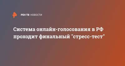 Николай Булаев - Система онлайн-голосования в РФ проходит финальный "стресс-тест" - ren.tv - Россия