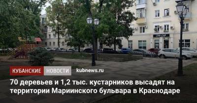 70 деревьев и 1,2 тыс. кустарников высадят на территории Мариинского бульвара в Краснодаре - kubnews.ru - Краснодарский край - Краснодар - Благоустройство