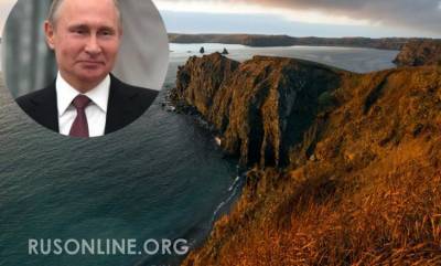 Россия убьёт двух зайцев одним ударом: Путин принял решение - rusonline.org - Россия - Китай - США - Япония - Афганистан