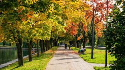 В парках Москвы состоятся мастер-классы и онлайн-занятия - parkseason.ru - Москва - Новости
