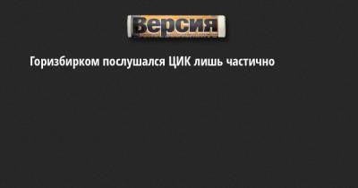 Элла Памфилова - Горизбирком послушался ЦИК лишь частично - neva.versia.ru