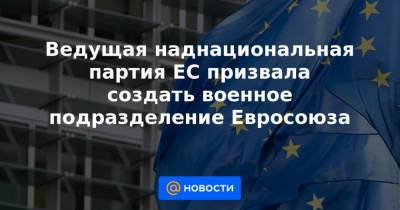 Ведущая наднациональная партия ЕС призвала создать военное подразделение Евросоюза - news.mail.ru - Брюссель