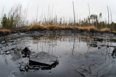 Разлив нефти обнаружили на реке в Пермском крае - lenta.ru - Россия - Уральск - Пермский край - Краснокамск