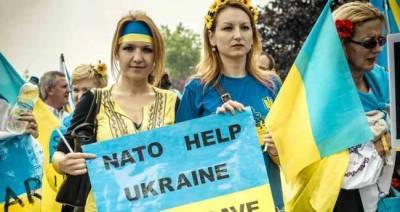 Джон Хербст - Украина не вступит в НАТО в ближайшее десятилетие — экс-посол США в Киеве - news-front.info - Россия - США - Украина - Киев