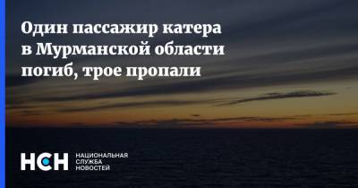 Один пассажир катера в Мурманской области погиб, трое пропали - nsn.fm - Россия - Мурманская обл. - Судно