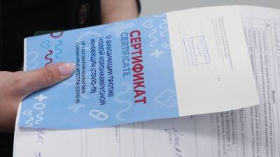 На юго-востоке Москвы из-за поддельного сертификата о вакцинации задержали женщину - vm.ru - Москва - Россия