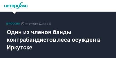Один из членов банды контрабандистов леса осужден в Иркутске - interfax.ru - Москва - Россия - Иркутская обл. - Иркутск