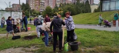 Владимир Любарский - Глава Петрозаводска объединил усилия с представителями диаспор в работе по озеленению города - stolicaonego.ru - Петрозаводск