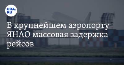 В крупнейшем аэропорту ЯНАО массовая задержка рейсов - ura.news - Москва - Сургут - окр. Янао
