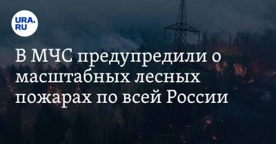 В МЧС предупредили о масштабных лесных пожарах по всей России - ura.news - Россия - окр.Приволжский - Уральск - окр.Сзфо
