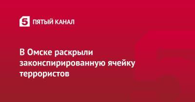 В Омске раскрыли законспирированную ячейку террористов - 5-tv.ru - Россия - Омск - Омская обл.