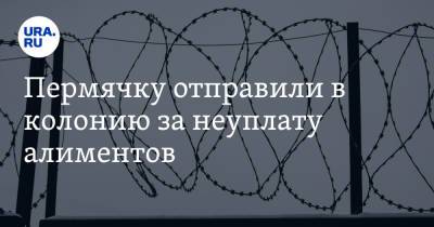 Пермячку отправили в колонию за неуплату алиментов - ura.news - Россия - Пермский край